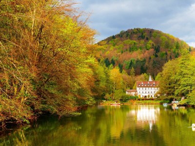 Holiday room Einzelzimmer BASIC in Bad Bergzabern - Holiday room