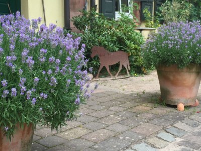 Apartment Appartement/Fewo, Dusche und Badewanne, 4 oder meh - Outdoor photo 8