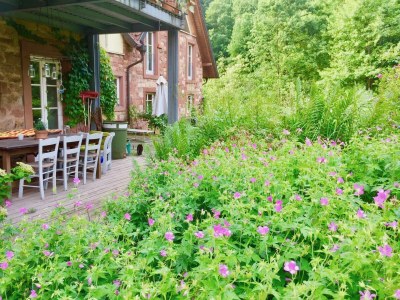 Apartment Appartement/Fewo, Dusche und Badewanne, 4 oder meh - Features photo 26