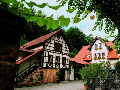 Apartment Wohnung 1 - Wochenpauschale in Klingenmünster - Apartment