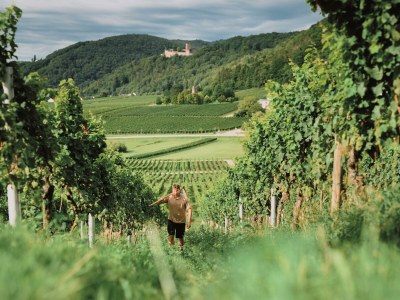 Apartment Wohnung 1 - Wochenpauschale - Outdoor photo 7