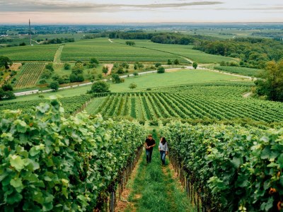 Apartment Wohnung 1 - Wochenpauschale - Outdoor photo 9