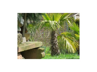 Apartment Lilie - Outdoor photo 22