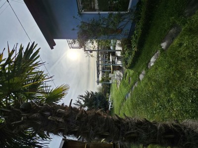 Apartment Lilie - Outdoor photo 37