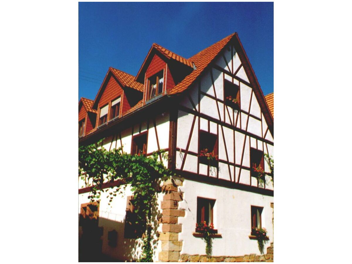 Apartment Ferienwohnung III, Dusche, WC, rollstuhlgerecht - Outdoor photo 5