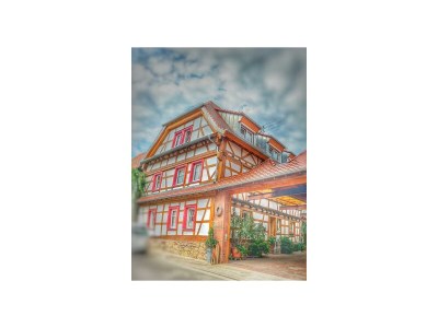 Apartment Ferienwohnung III, Dusche, WC, rollstuhlgerecht in Schweigen-Rechtenbach - Apartment