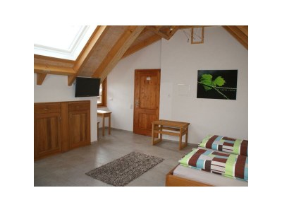 Apartment Ferienwohnung III, Dusche, WC, rollstuhlgerecht - Features photo 17