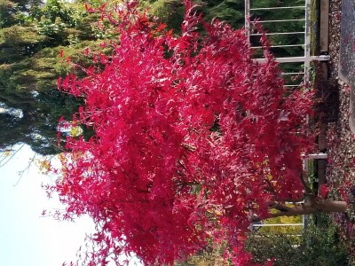 Apartment 4-Bettwohnung 63m² - Outdoor photo 10