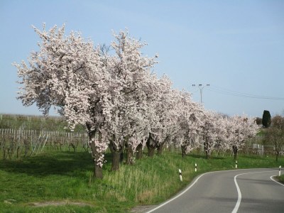 Apartment 4-Bettwohnung 63m² - Outdoor photo 23