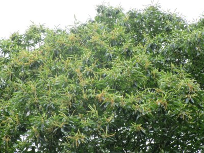 Apartment 4-Bettwohnung 63m² - Outdoor photo 24