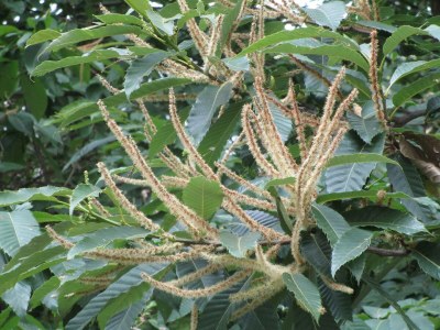 Apartment 4-Bettwohnung 63m² - Outdoor photo 25