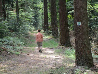 Apartment 4-Bettwohnung 63m² - Outdoor photo 27