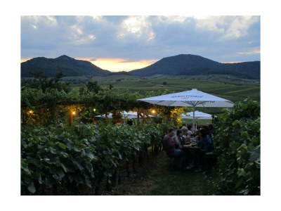 Apartment 4-Bettwohnung 63m² - Outdoor photo 34