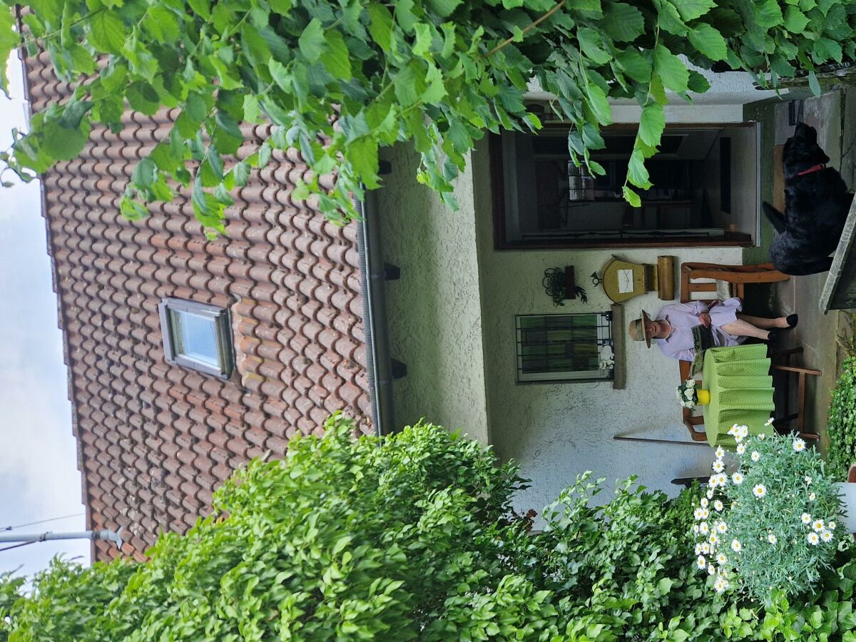 Apartment Ferienwohnung Briem-Hellbach (67m²) - Outdoor photo 2