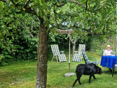 Apartment Ferienwohnung Briem-Hellbach (67m²) in Dörrenbach - Apartment