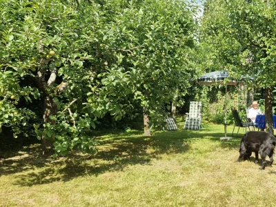 Apartment Ferienwohnung Briem-Hellbach (67m²) - Outdoor photo 3