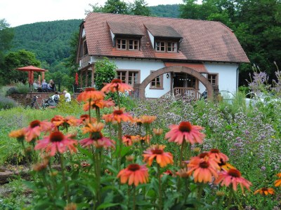 Apartment Fewo mit Balkon Nr.1 in Wissembourg-Weiler - Apartment