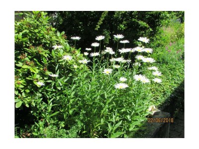 Apartment 2-Bettwohnung 30m² - Outdoor photo 6