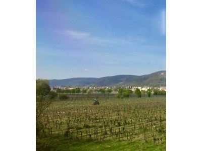 Apartment Appartement/Fewo, Dusche, WC, 1 Schlafraum - Outdoor photo 13