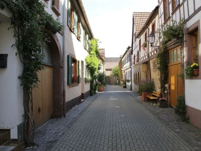 Apartment 3-Bettwohnung 45m² in Bad Bergzabern - Apartment