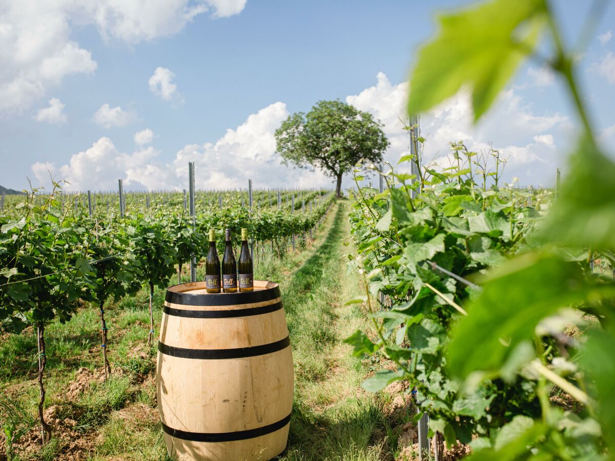Apartment Ferienwohnung Gaby - Outdoor photo 5