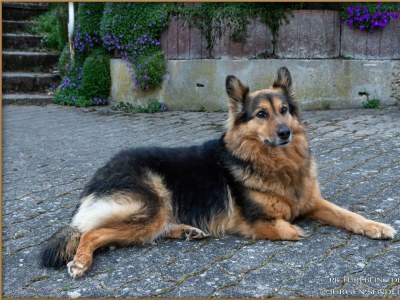 Apartment Appartement/Fewo, Dusche, WC, Nichtraucher - Outdoor photo 8