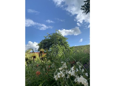 Apartment Appartement/Fewo, Dusche, WC, Nichtraucher - Outdoor photo 9