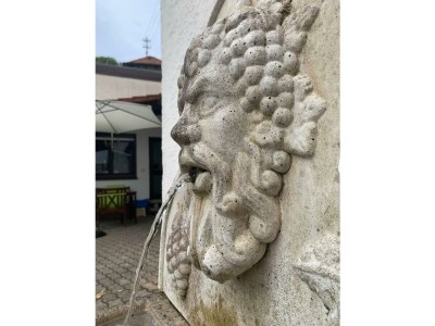 Apartment Appartement/Fewo, Dusche, WC, Nichtraucher - Outdoor photo 13