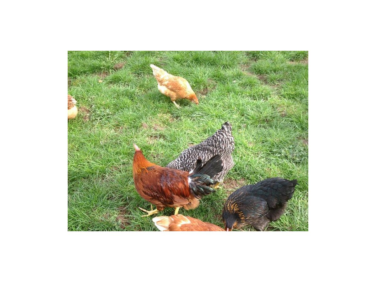 Holiday room Einzelzimmer Dusche/WC - Outdoor photo 2