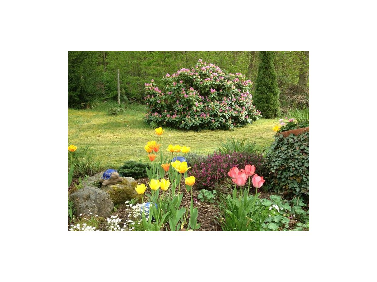 Holiday room Einzelzimmer Dusche/WC - Outdoor photo 3