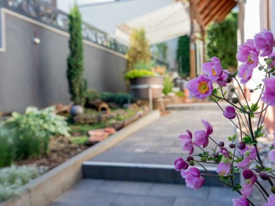 Apartment Ferienwohnung, Dusche oder Bad, WC, 2 Schlafräume - Outdoor photo 7