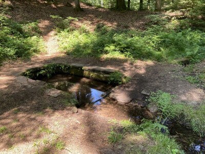 Apartment Appartement/Fewo, Dusche, WC, 1 Schlafraum - Outdoor photo 6