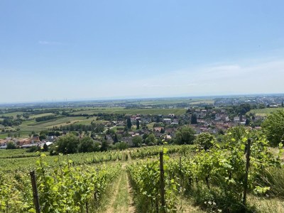 Apartment Appartement/Fewo, Dusche, WC, 1 Schlafraum - Outdoor photo 8