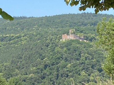 Apartment Appartement/Fewo, Dusche, WC, 1 Schlafraum - Outdoor photo 10