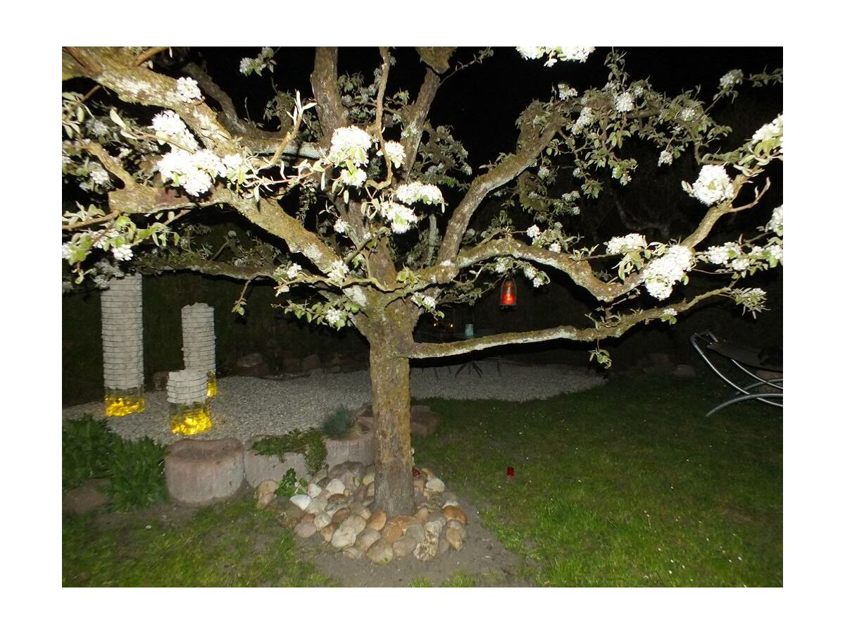 Apartment Appartement/Fewo, Dusche, WC, 3 Schlafräume - Outdoor photo 2