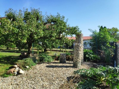 Apartment Appartement/Fewo, Dusche, WC, 3 Schlafräume - Outdoor photo 6