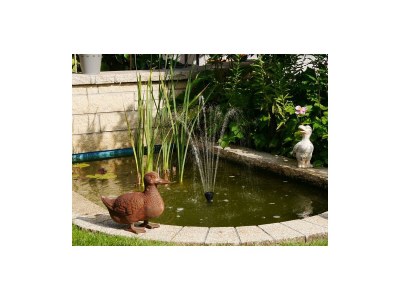 Apartment Appartement/Fewo, Dusche und Bad, WC, neuwertig - Outdoor photo 12