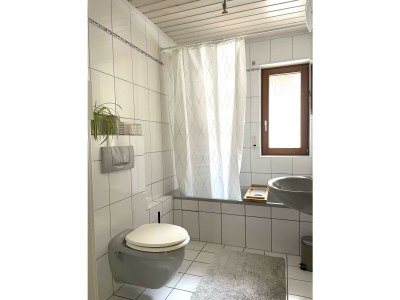 Apartment Appartement/Fewo, Dusche, WC, 1 Schlafraum - Features photo 14