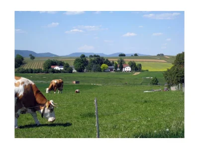 Apartment Appartement/Studio 1. OG - Outdoor photo 6