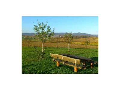 Apartment Appartement/Studio 1. OG - Outdoor photo 11