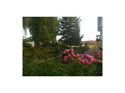 Apartment Appartement/Studio 1. OG - Outdoor photo 14