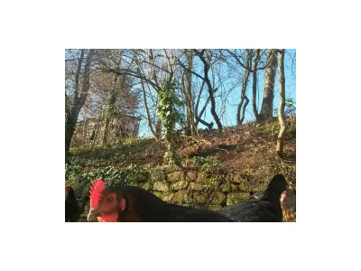 Apartment Appartement/Studio 1. OG - Outdoor photo 18