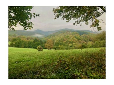 Apartment Appartement/Fewo, Dusche, WC, Wohn-/Schlafraum - Outdoor photo 11