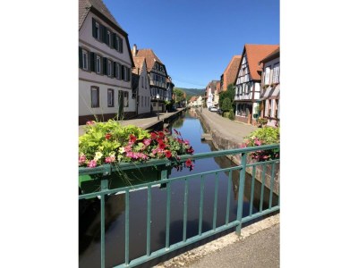 Apartment Appartement/Fewo, Dusche, WC, Wohn-/Schlafraum - Outdoor photo 13