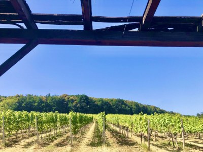 Apartment Appartement/Fewo, Dusche, WC, Wohn-/Schlafraum - Outdoor photo 14