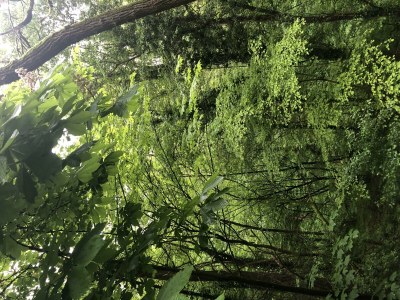 Apartment Appartement/Fewo, Dusche, WC, Wohn-/Schlafraum - Outdoor photo 15