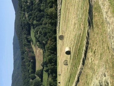 Apartment Appartement/Fewo, Dusche, WC, Wohn-/Schlafraum - Outdoor photo 16