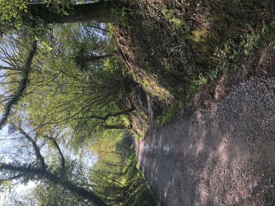 Apartment Appartement/Fewo, Dusche, WC, Wohn-/Schlafraum - Outdoor photo 18