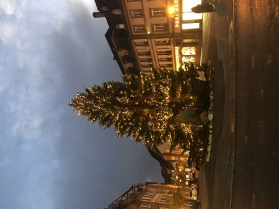 Apartment Appartement/Fewo, Dusche, WC, Wohn-/Schlafraum - Outdoor photo 19