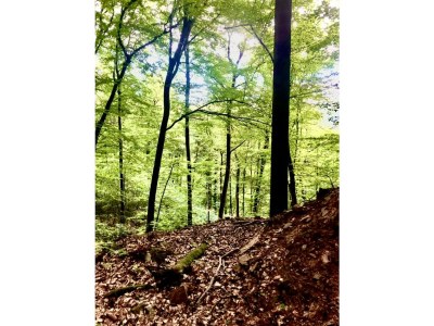 Apartment Appartement/Fewo, Dusche, WC, Wohn-/Schlafraum - Outdoor photo 20